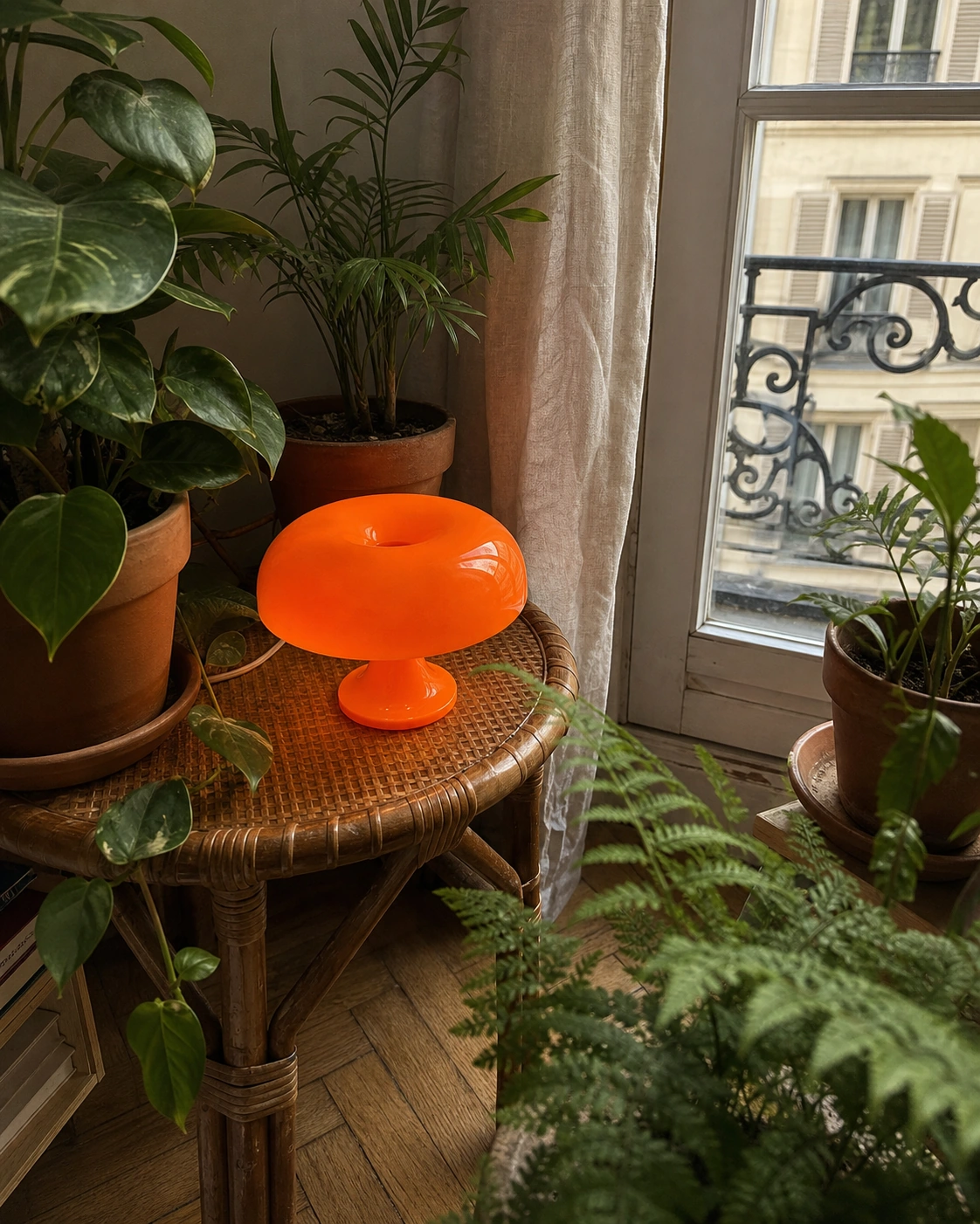 Le Champignon chez Nora H.